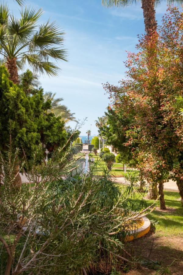 Aguamarina Atico Duplex Gran Terraza Cabo Roig Διαμέρισμα Οριουέλα Εξωτερικό φωτογραφία